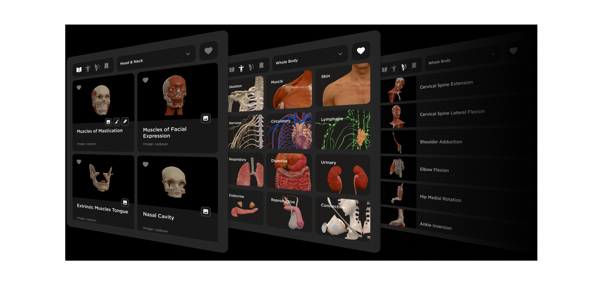 Bodymap - Learn Human Anatomy and more through Virtual Reality - MAI